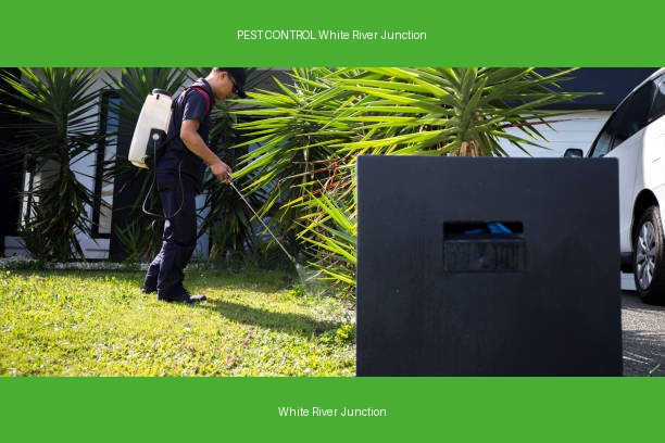 PEST CONTROL White River Junction
